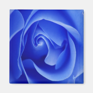 blue folds magnet