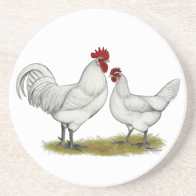 Blue Foot Chickens Coaster (Front)