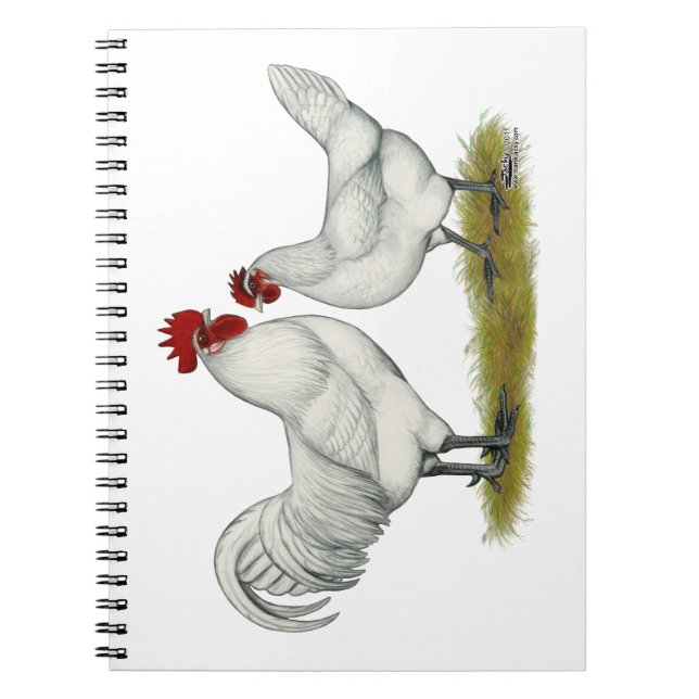 Blue Foot Chickens Notebook (Front)