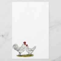 Blue Foot Chickens