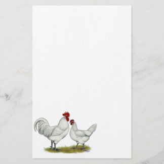 Blue Foot Chickens Stationery