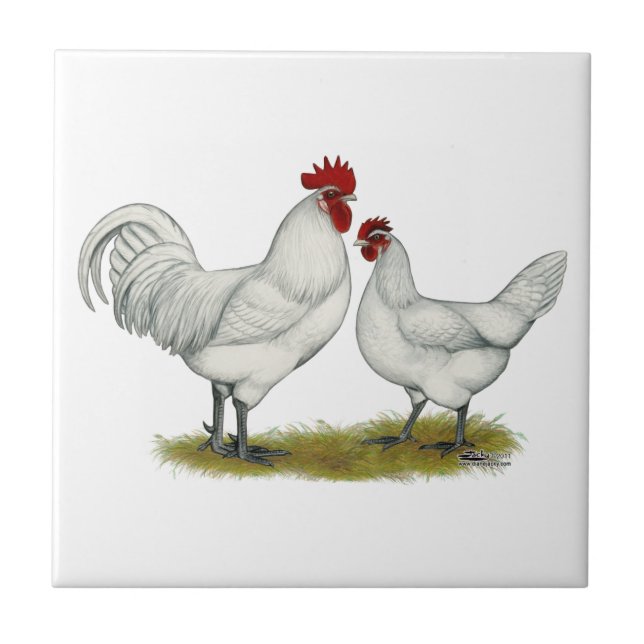 Blue Foot Chickens Tile (Front)
