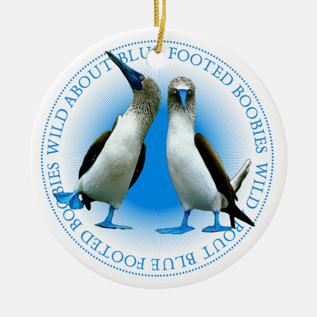 Blue Footed Booby Birds Galapagos Islands Souvenir Ceramic Tree Decoration (Front)