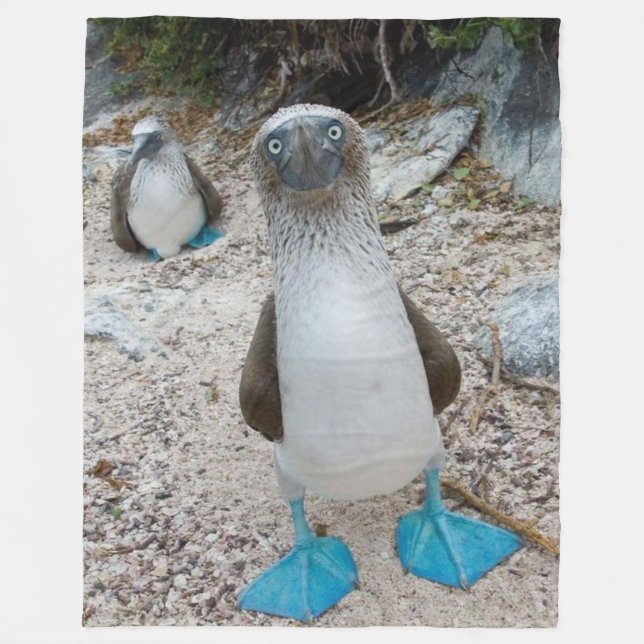 BLUE FOOTED BOOBY (Honest, that is it's name) Fleece Blanket (Front)