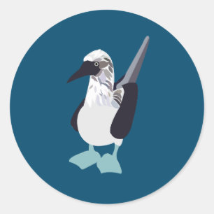 Blue-Footed Sea Bird Classic Round Sticker