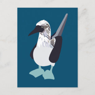 Blue-Footed Sea Bird Postcard