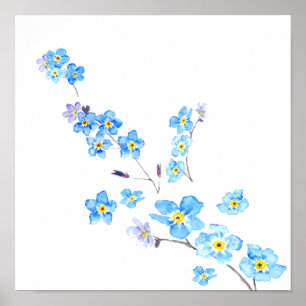 blue forget me not watercolor painting poster