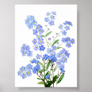 blue forget me not watercolor poster