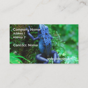 blue-frog-1.jpg business card