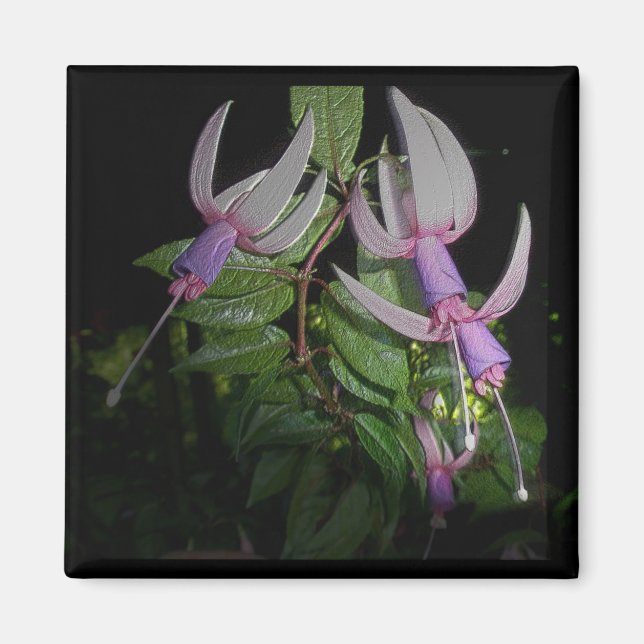 Blue Fushia Magnet (Front)