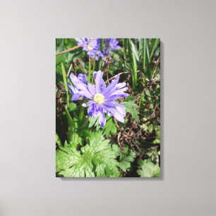 Blue garden flower canvas print