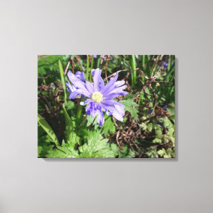 Blue garden flower canvas print
