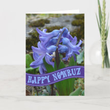 Blue Garden Hyacinth Iranian New Year Nowrooz