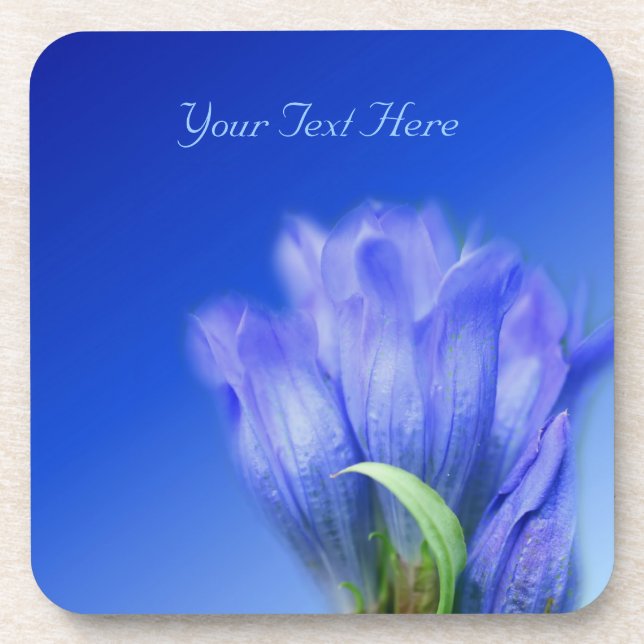 Blue Gentian Flower Nature Coaster Set (Front)