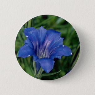 Blue Gentian flowers 6 Cm Round Badge