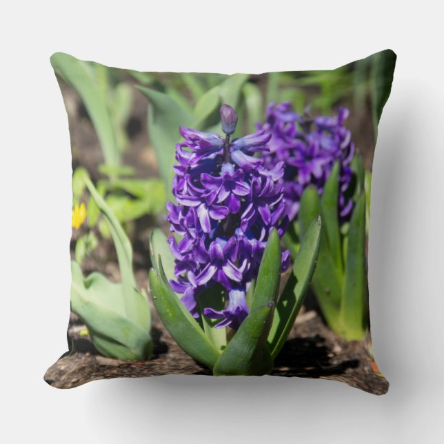 Blue Geocinth in spring  Cushion (Front)