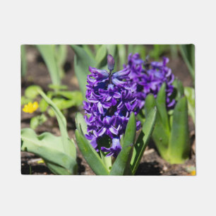 Blue Geocinth in spring      Doormat