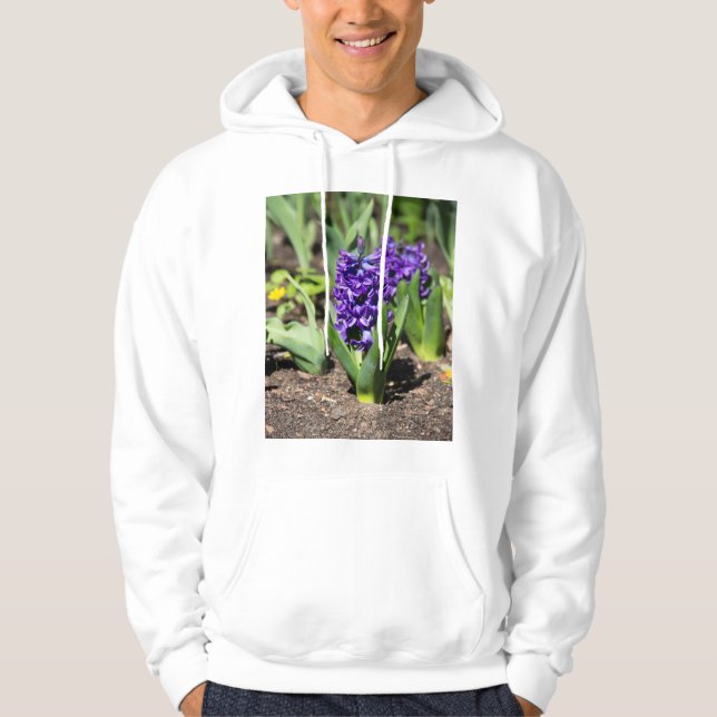 Blue Geocinth in spring   Hoodie (Front)
