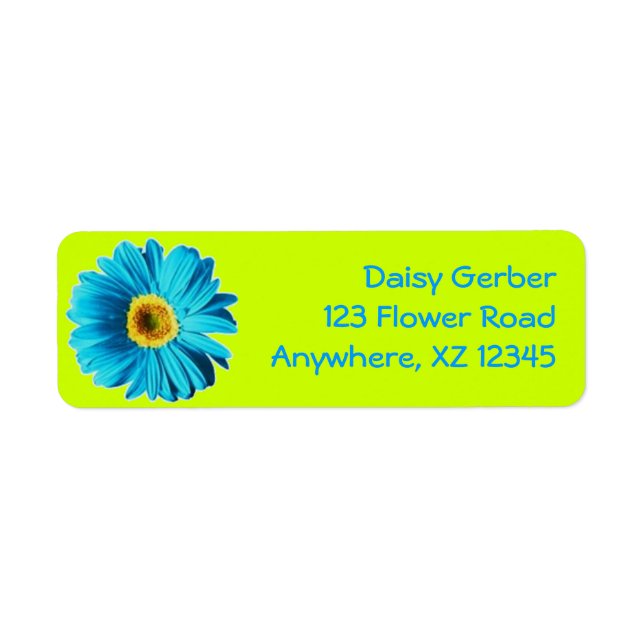 Blue Gerber Daisy (Front)