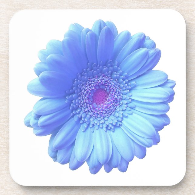 Blue gerbera daisy coaster (Front)