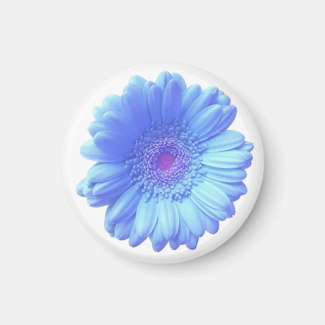 Blue gerbera daisy magnet (Front)