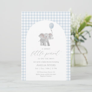 Blue Gingham Elephant Baby Shower Boy  Invitation