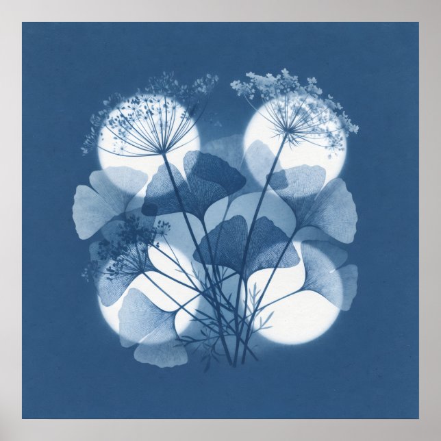 Blue Ginkgo Queen Anne Lace Moonlight Poster (Front)