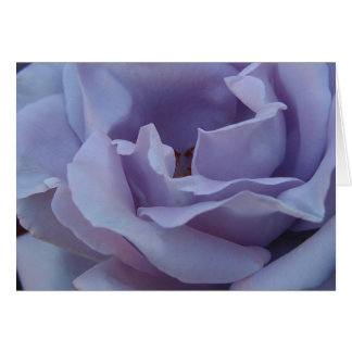 Blue girl rose - Card