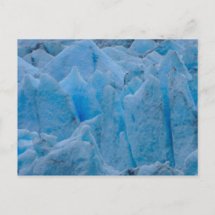 Blue Glacier Postcard