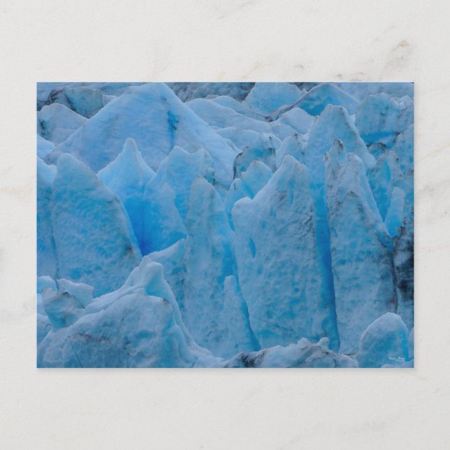 Blue Glacier Postcard (Front)