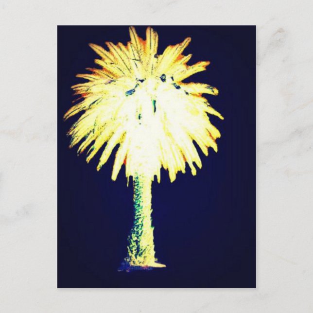 Blue Gold Canary Island Date Palm Postcard (Front)