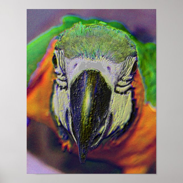Blue Gold Macaw Face Parrot Fantasy Art Poster (Front)