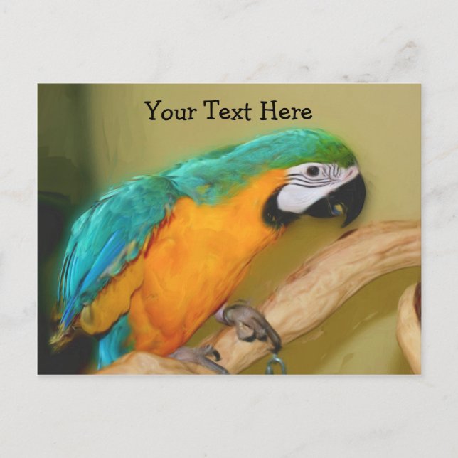 Blue Gold Macaw Parrot Customisable Postcard (Front)