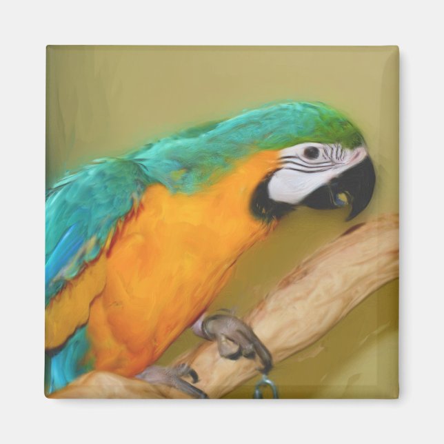 Blue Gold Macaw Parrot Painting Magnet (Front)