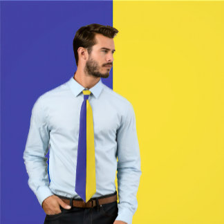 Blue & Gold Split Colour Design Neck Tie