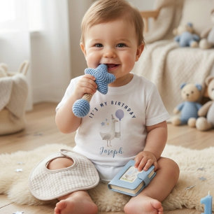  Blue Goose Balloon Boy First Birthday Toddler Baby T-Shirt