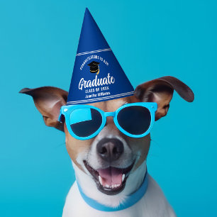 Blue Graduate Custom 2025 Graduation Party Hat