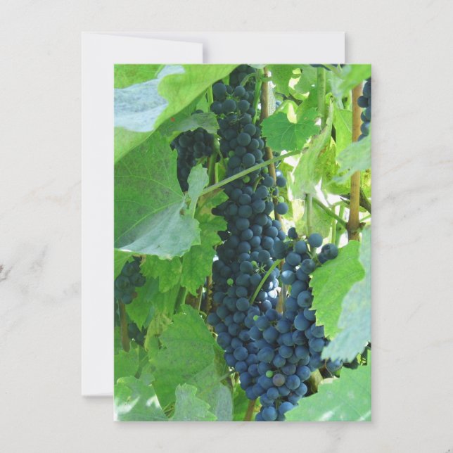 Blue Grapes Invitation (Front)