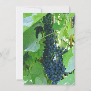Blue Grapes Invitation