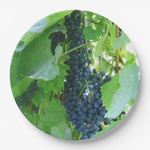 Blue Grapes Paper Plates