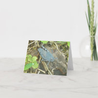 Blue Grasshopper Note Card