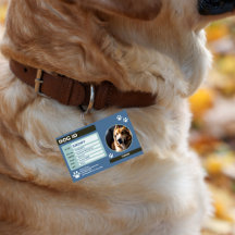 Blue Green Modern Dog ID Tag: Simple and Stylish