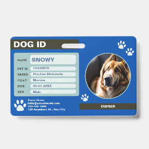 Blue Green Modern Dog ID Tag: Simple and Stylish Badge