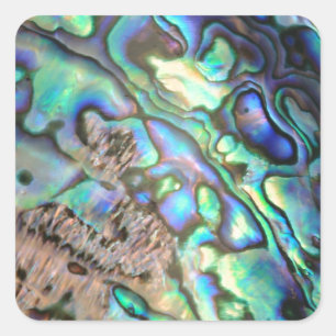 Blue green paua abalone shell detail square sticker