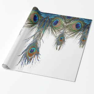 blue-green-peacock-feathers-art- wrapping paper