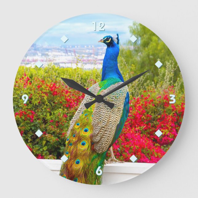 Blue Green Peacock Photo Beautiful Modern Stylish Large Clock (Front)