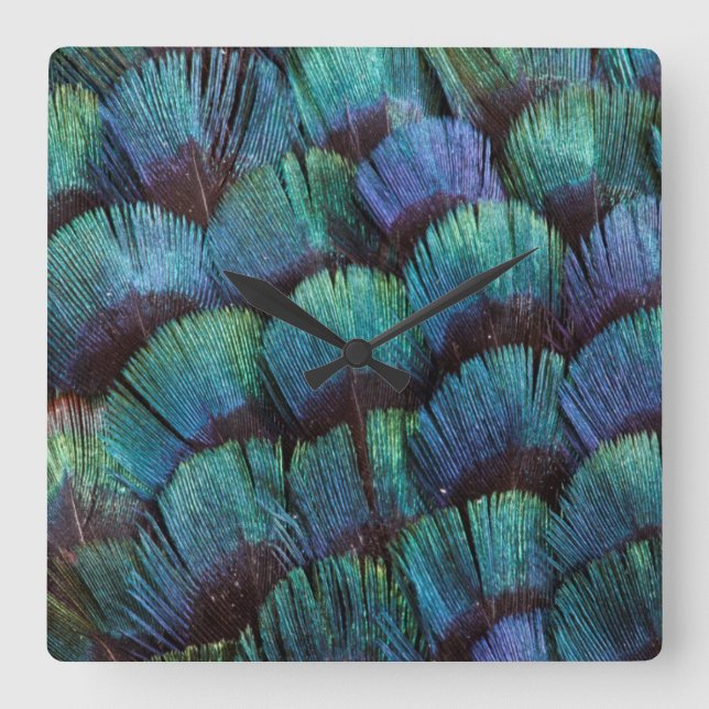 Blue-green pheasant feather design square wall clock (Front)