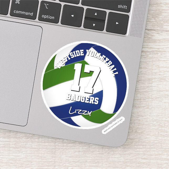 blue green team colours volleyball player (Detail)