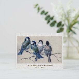 Blue Grey Birds on a Branch by Hector Giacomelli Postcard