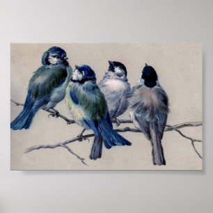 Blue Grey Birds on a Branch by Hector Giacomelli  Poster
